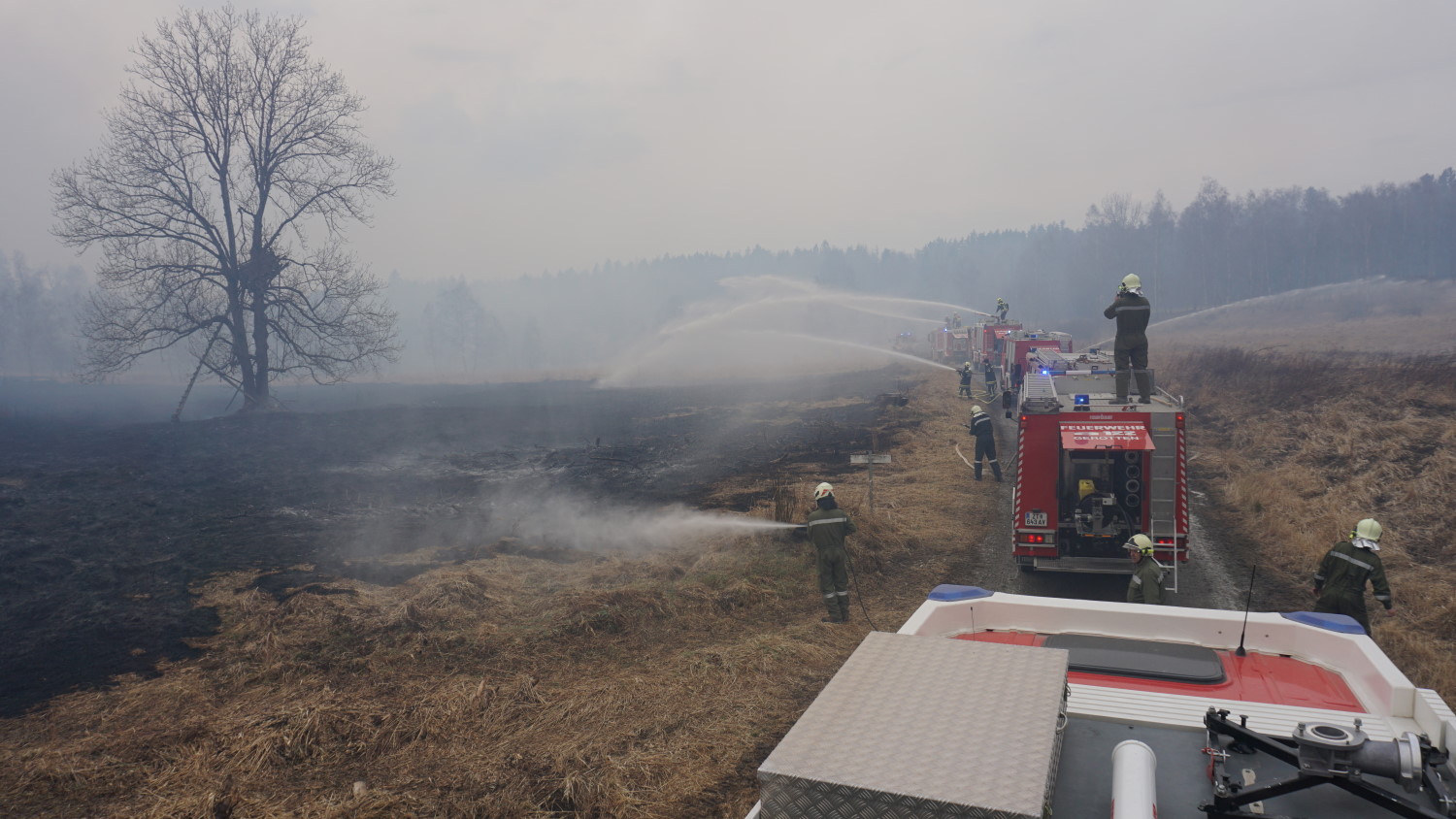 News Essen-Heisingen: Waldbrand Fordert Feuerwehr-Einsatz Am 07.04.2025 News Essen-Heisingen: Waldbrand Fordert Feuerwehr-Einsatz Am 07.04.2025