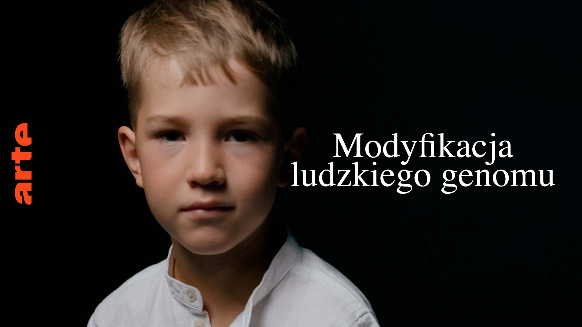 Niewygodne Pytania Dla Prokuratorów: Blamaż Ujawniony Przez Polsce24