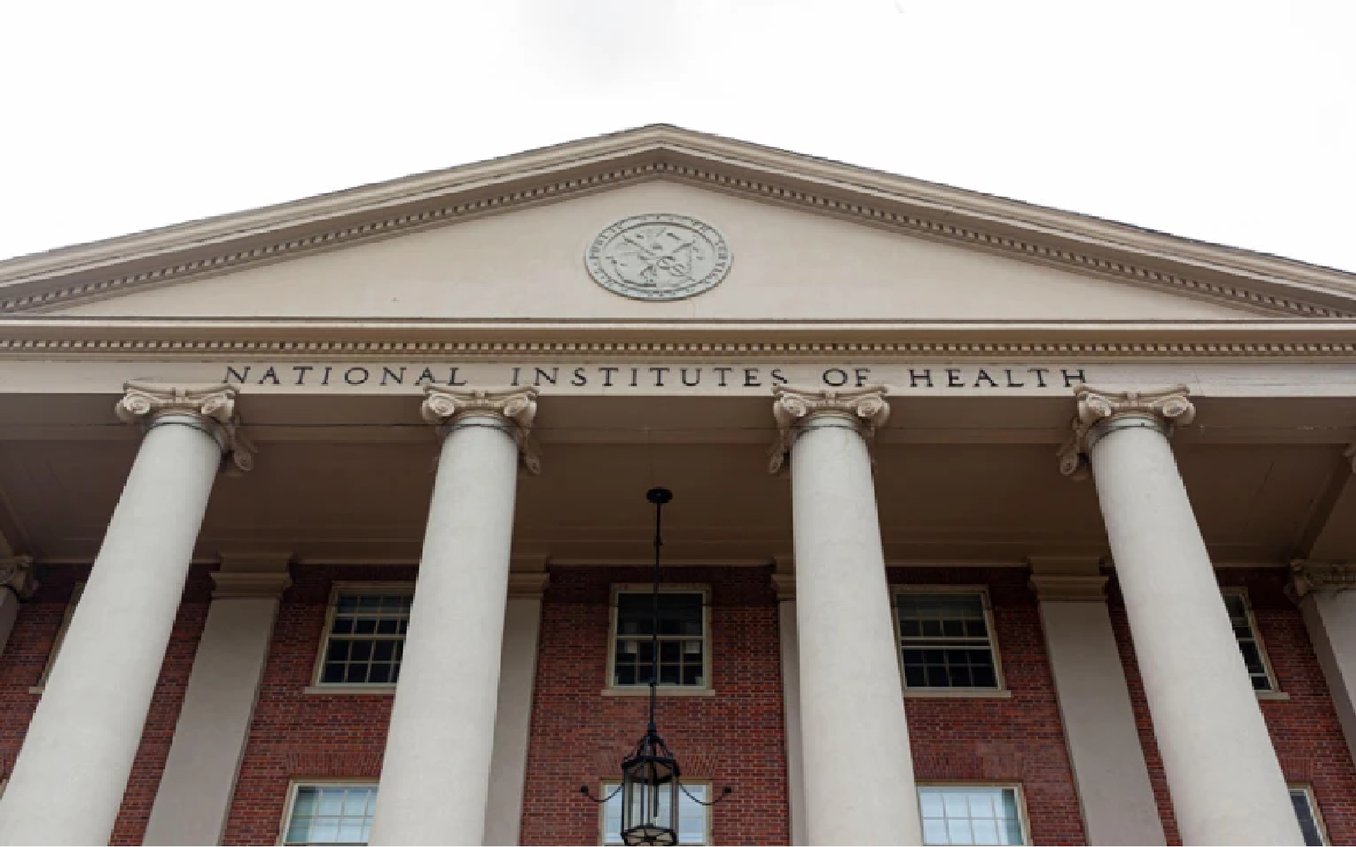 NIH Staff Walkout Protests Research Cuts And Ideological Tensions NIH Staff Walkout Protests Research Cuts And Ideological Tensions