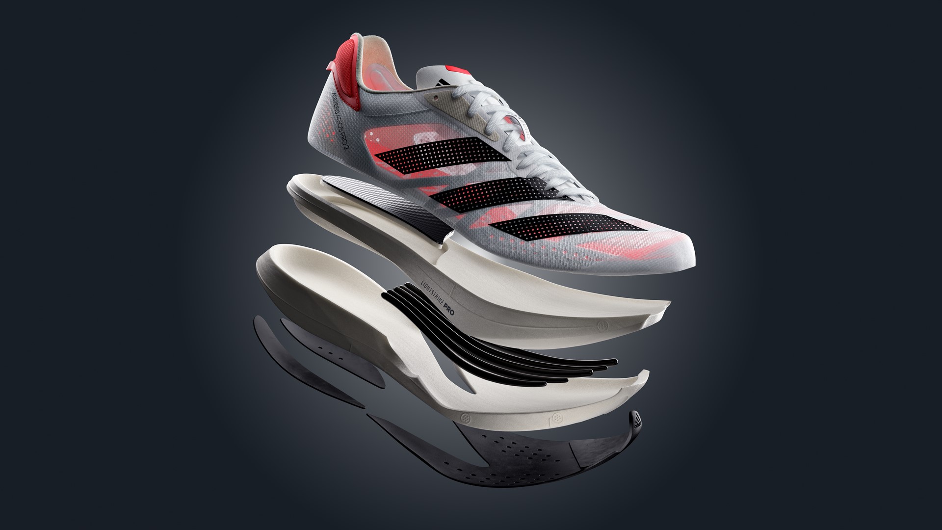 Nike Running Shoes 2025: Choosing The Right Shoe For Your Needs Nike Running Shoes 2025: Choosing The Right Shoe For Your Needs