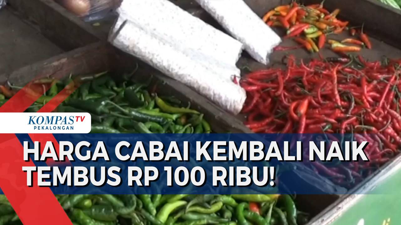 Ninja 500 Series: Modifikasi Mewah, Harga Tembus Rp 100 Juta Ninja 500 Series: Modifikasi Mewah, Harga Tembus Rp 100 Juta