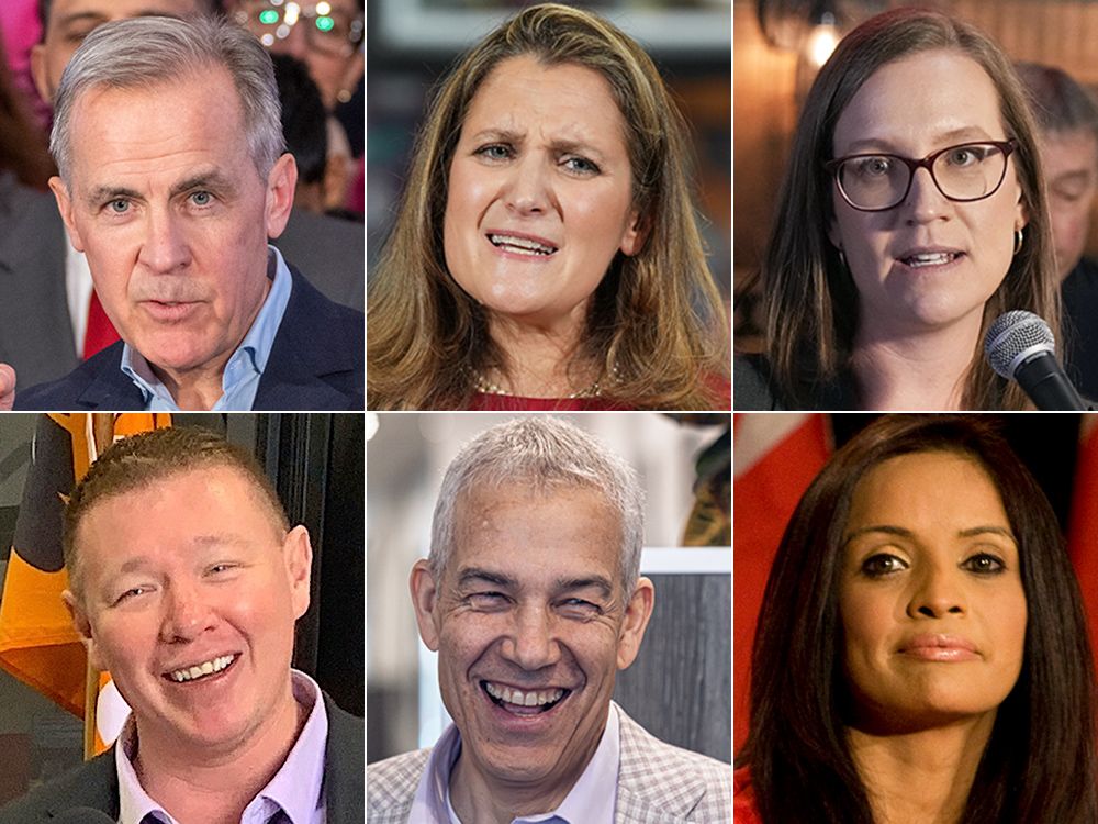 NL Federal Election 2024: Candidate Profiles And Platforms NL Federal Election 2024: Candidate Profiles And Platforms
