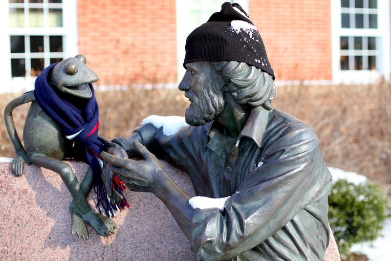 Notable Amphibian To Give Commencement Address At University Of Maryland Notable Amphibian To Give Commencement Address At University Of Maryland