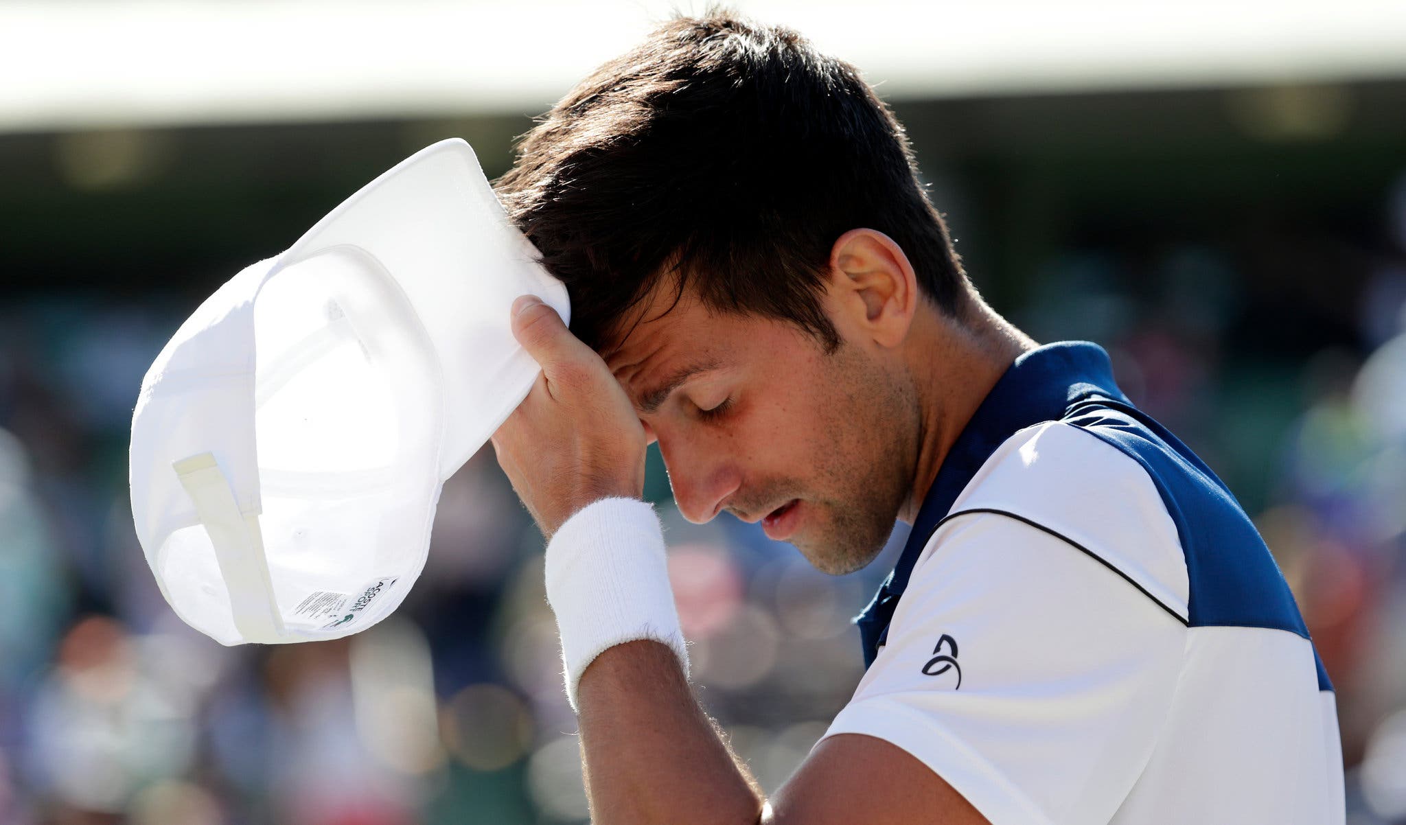 Novak Djokovic'in Miami Açık Final Yolu Novak Djokovic'in Miami Açık Final Yolu