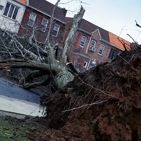 NYC Severe Weather Alert: Monday's Forecast, Impacts, And Preparedness NYC Severe Weather Alert: Monday's Forecast, Impacts, And Preparedness