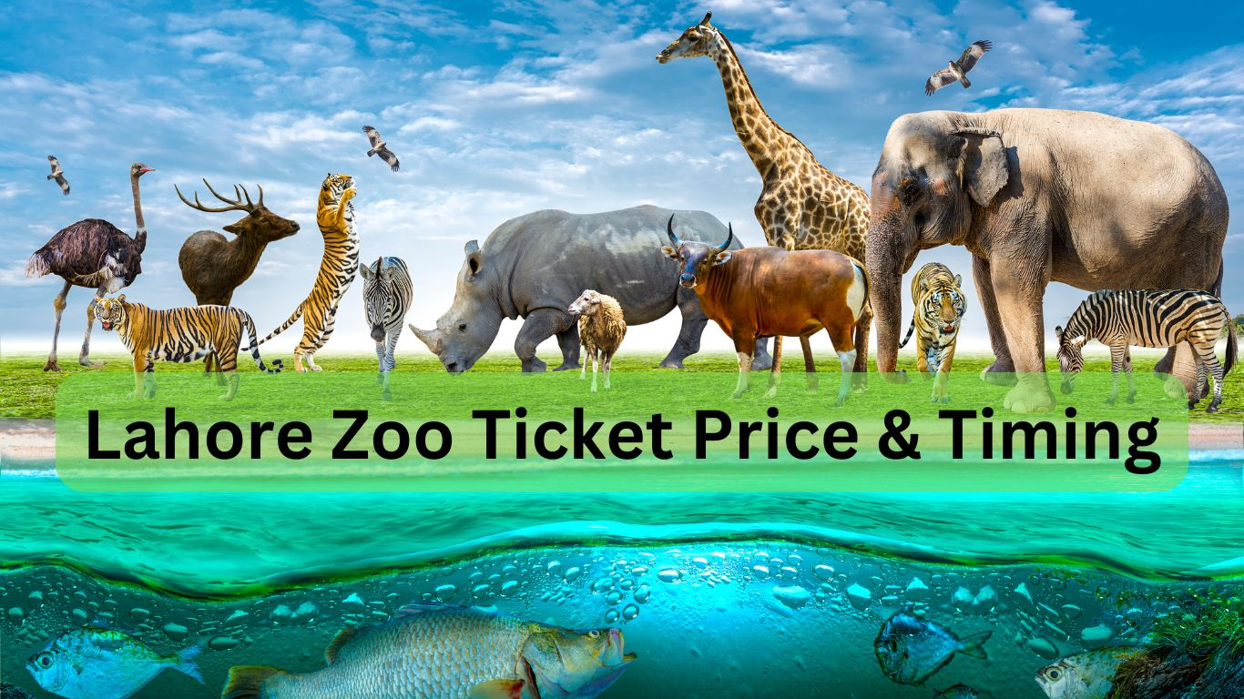 Official Statement: Marriyum Aurangzeb On Increased Lahore Zoo Ticket Prices Official Statement: Marriyum Aurangzeb On Increased Lahore Zoo Ticket Prices