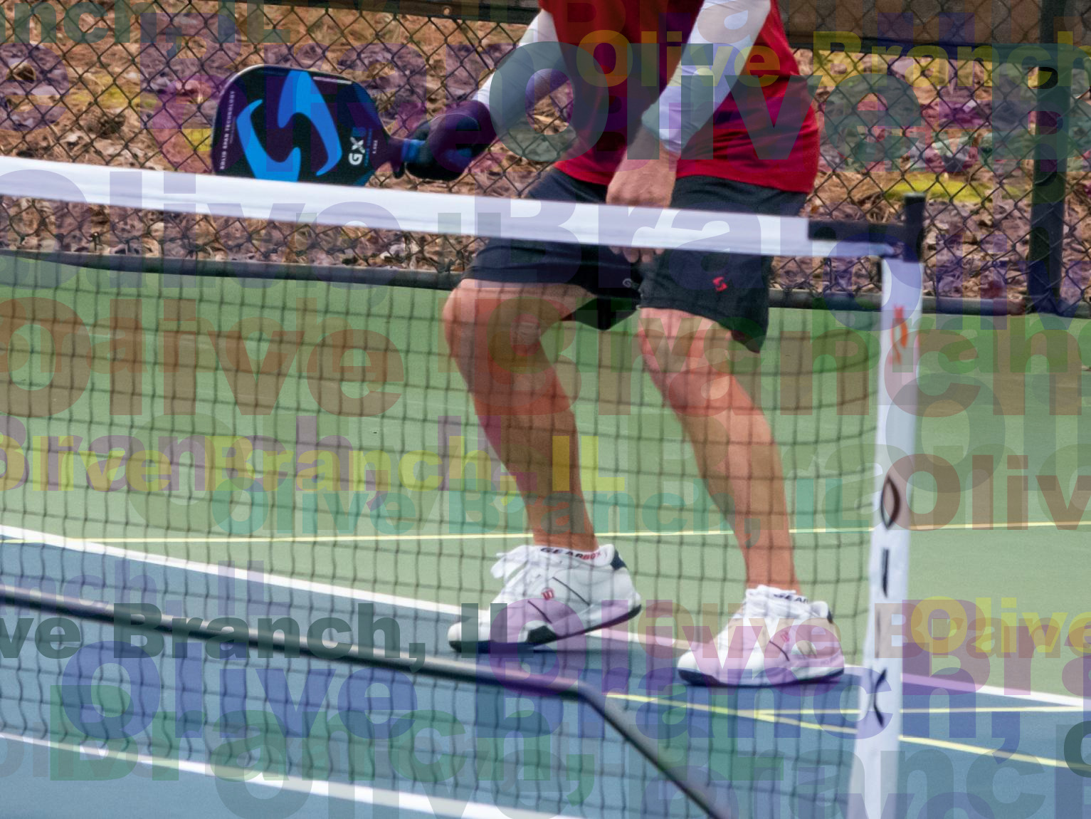 Olive Branch Pickleball Court Project: Donation And Bid Information Olive Branch Pickleball Court Project: Donation And Bid Information