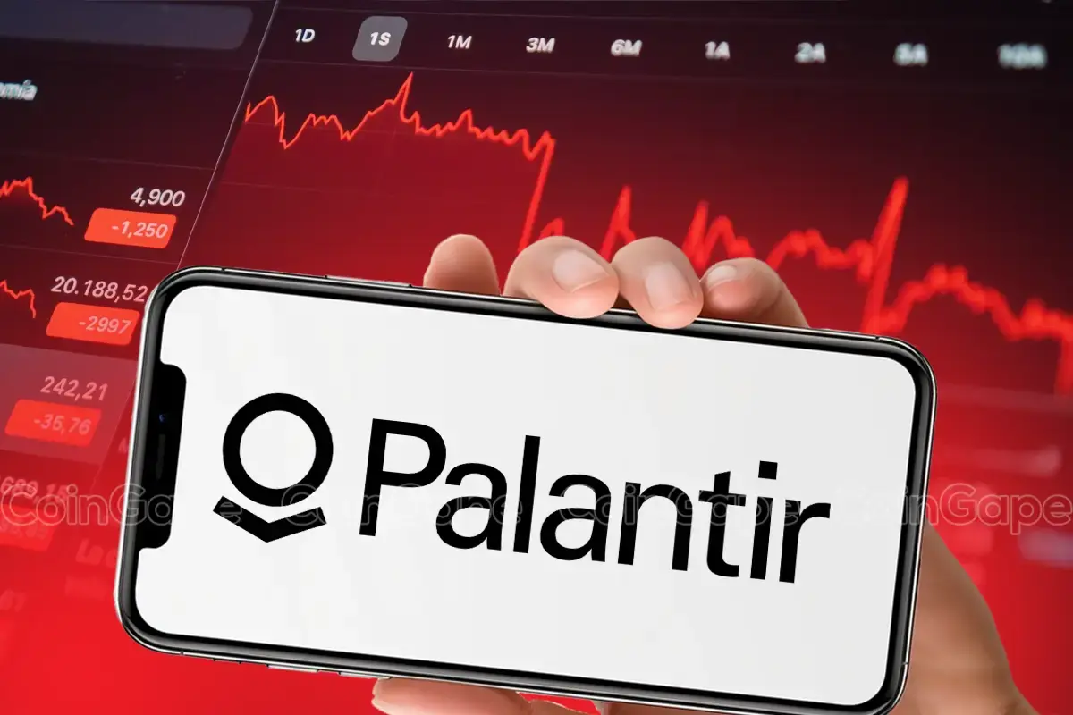 Palantir Stock Falls 30%: Investment Analysis Palantir Stock Falls 30%: Investment Analysis