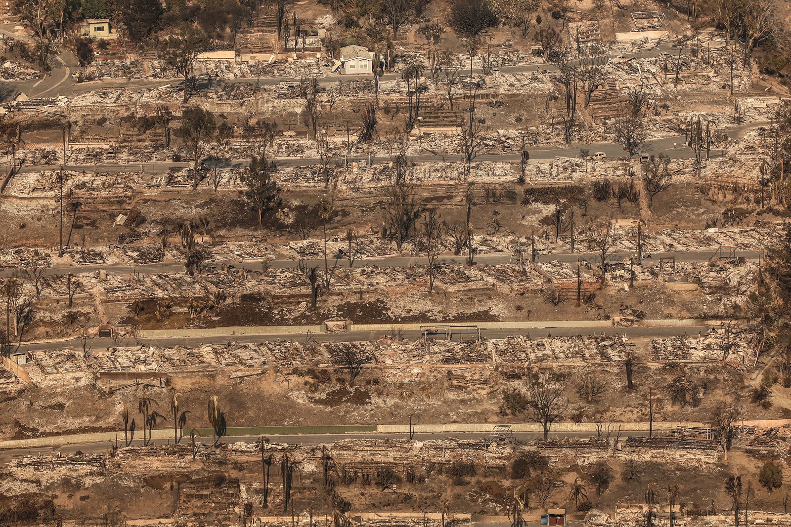 Palisades Fire Aftermath: A List Of Celebrities Who Lost Homes Palisades Fire Aftermath: A List Of Celebrities Who Lost Homes