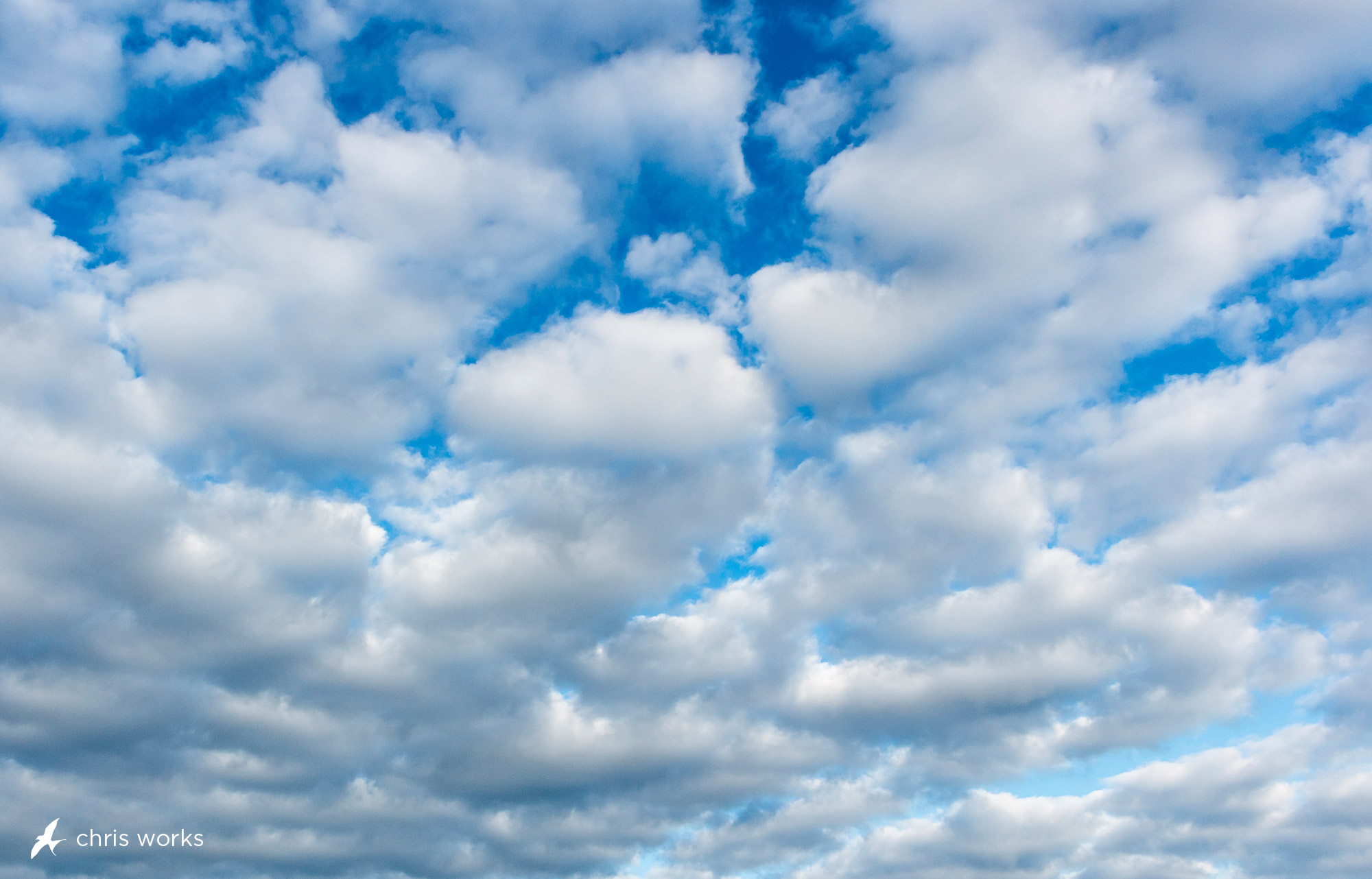 Partly Cloudy Skies: Your Daily Weather Guide Partly Cloudy Skies: Your Daily Weather Guide