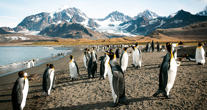 Paul Gauguin Cruises: $1,500 Flight Credit Incentive From PONANT For Agents Paul Gauguin Cruises: $1,500 Flight Credit Incentive From PONANT For Agents
