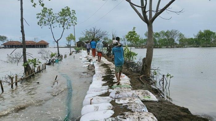 Pembangunan Giant Sea Wall: Solusi Lindungi Warga Pesisir Dari Ancaman Bencana Pembangunan Giant Sea Wall: Solusi Lindungi Warga Pesisir Dari Ancaman Bencana