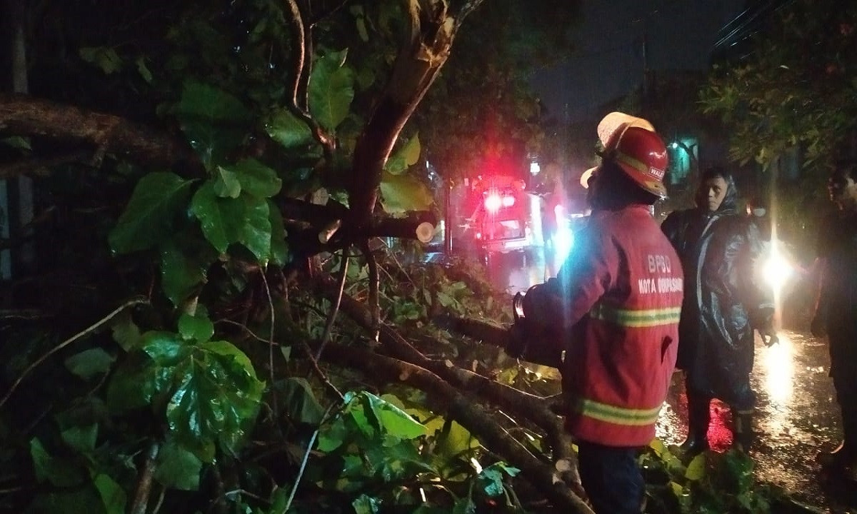 Peringatan Hujan: Cuaca Ekstrem Di Denpasar, Bali Besok Peringatan Hujan: Cuaca Ekstrem Di Denpasar, Bali Besok