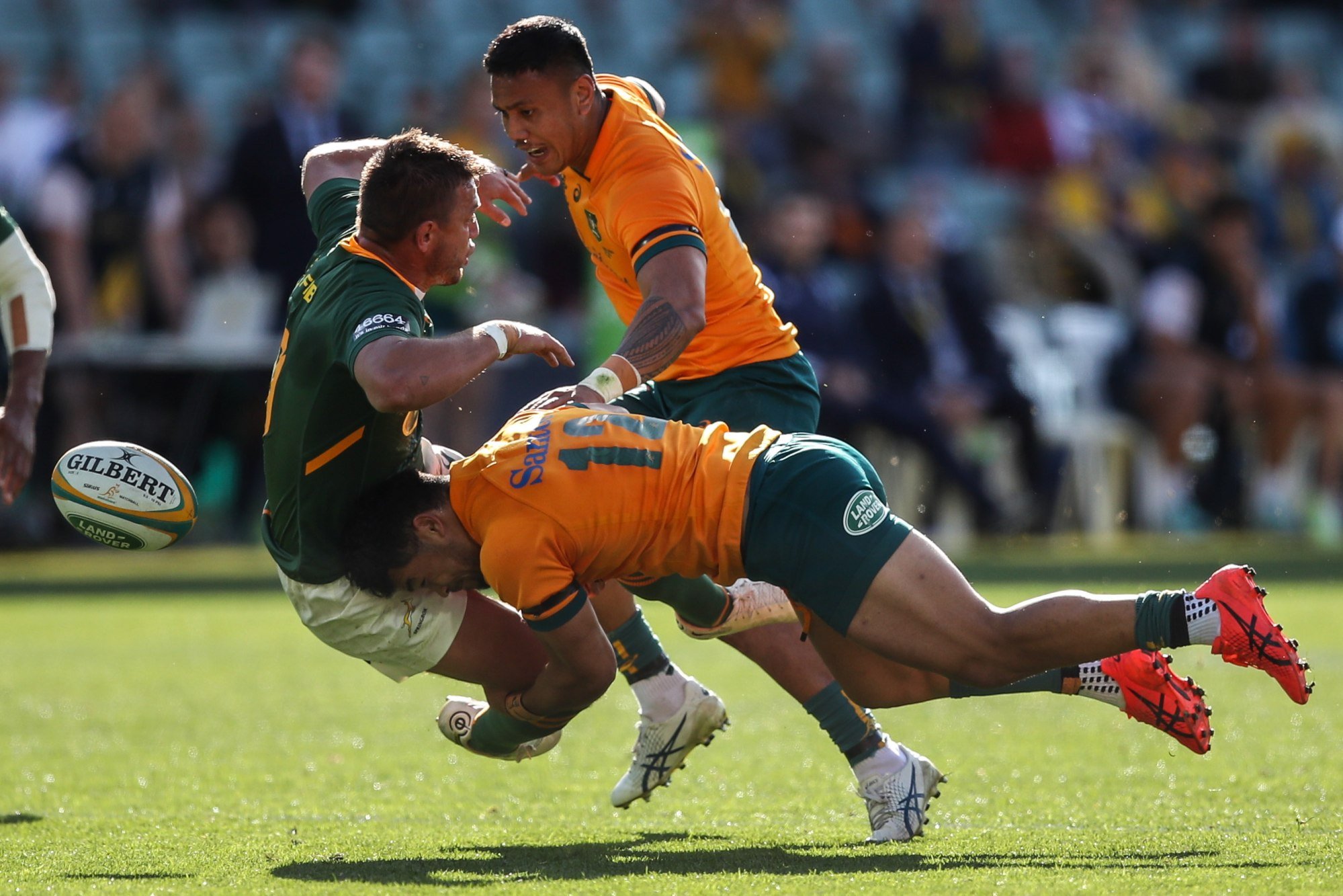 Phipps Challenges Australia's Rugby Supremacy Phipps Challenges Australia's Rugby Supremacy
