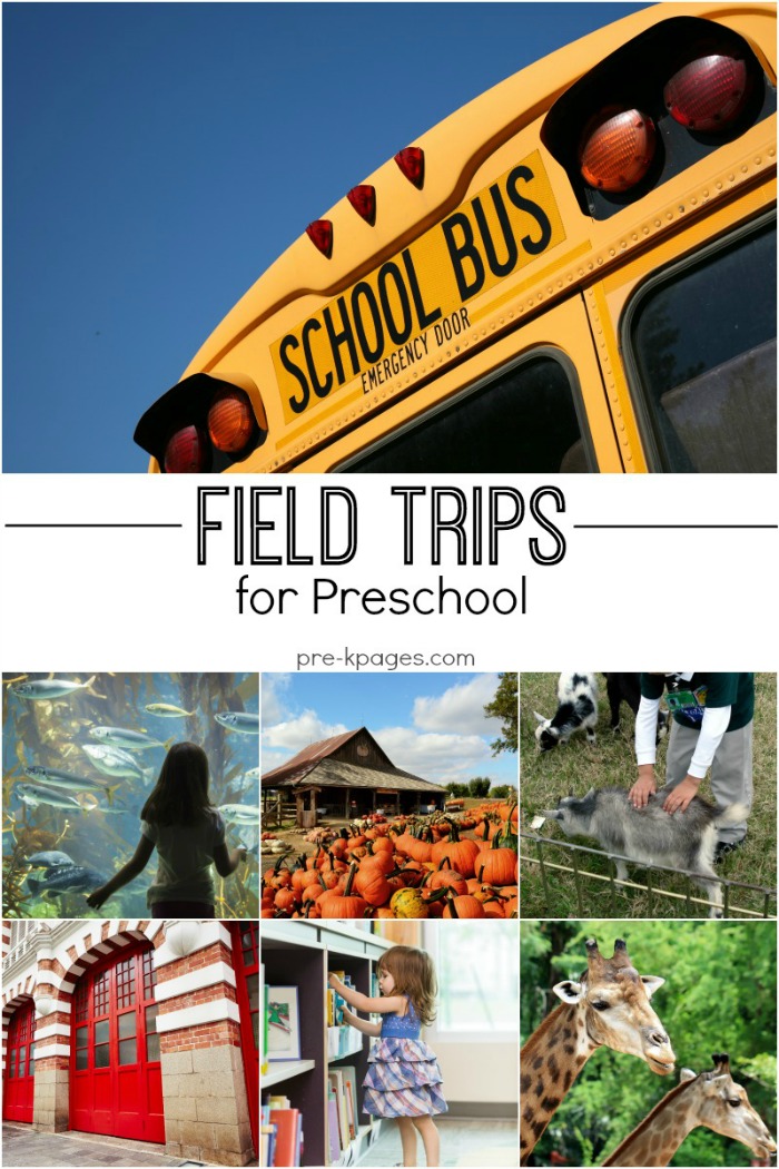 Planning Your Senior Year: A Calendar Of Trips And Activities Planning Your Senior Year: A Calendar Of Trips And Activities
