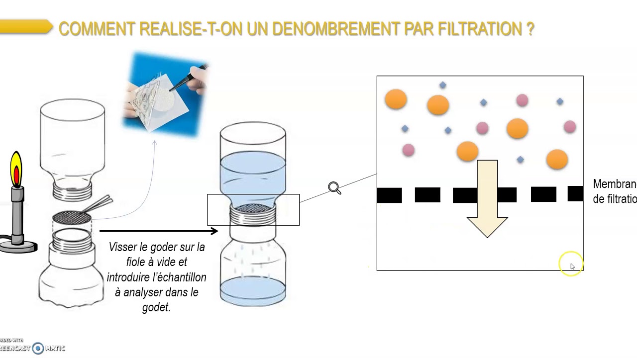 Pollution De L'eau : Guide Complet De Filtration Pour L'eau Du Robinet Pollution De L'eau : Guide Complet De Filtration Pour L'eau Du Robinet