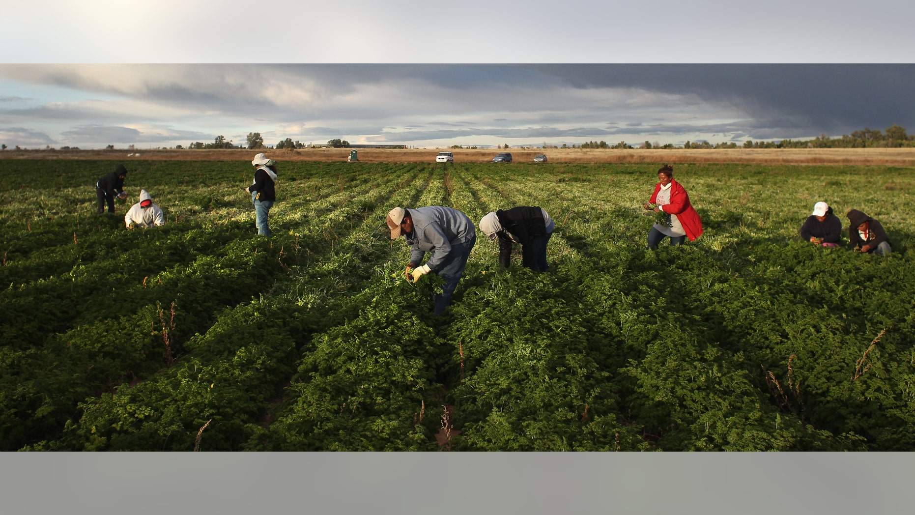 Portugal's Migrant Expulsions: From Welcoming Nation To Stricter Policies? Portugal's Migrant Expulsions: From Welcoming Nation To Stricter Policies?