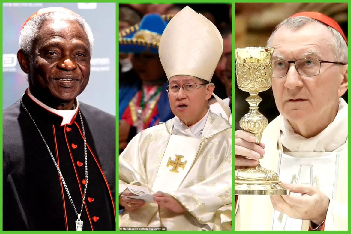 Possible Successors To Pope Francis: A Look At Potential Candidates Possible Successors To Pope Francis: A Look At Potential Candidates