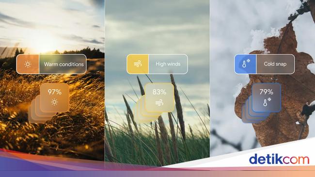 Prakiraan Cuaca Bali Besok: Berawan, Hujan Ringan Di 5 Daerah Prakiraan Cuaca Bali Besok: Berawan, Hujan Ringan Di 5 Daerah