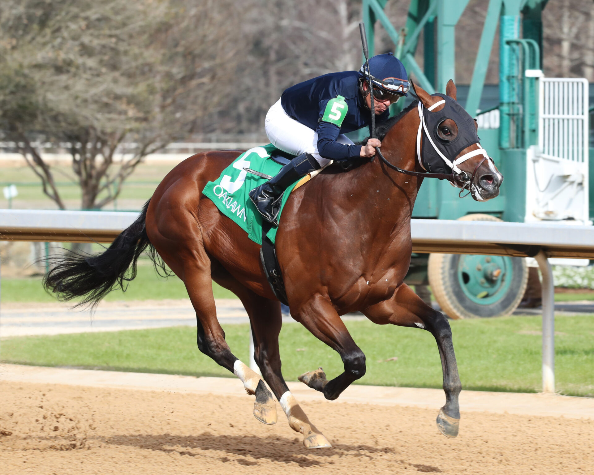 Predicting The 2025 Kentucky Derby Pace: Speed, Strategy, And Winning Times Predicting The 2025 Kentucky Derby Pace: Speed, Strategy, And Winning Times