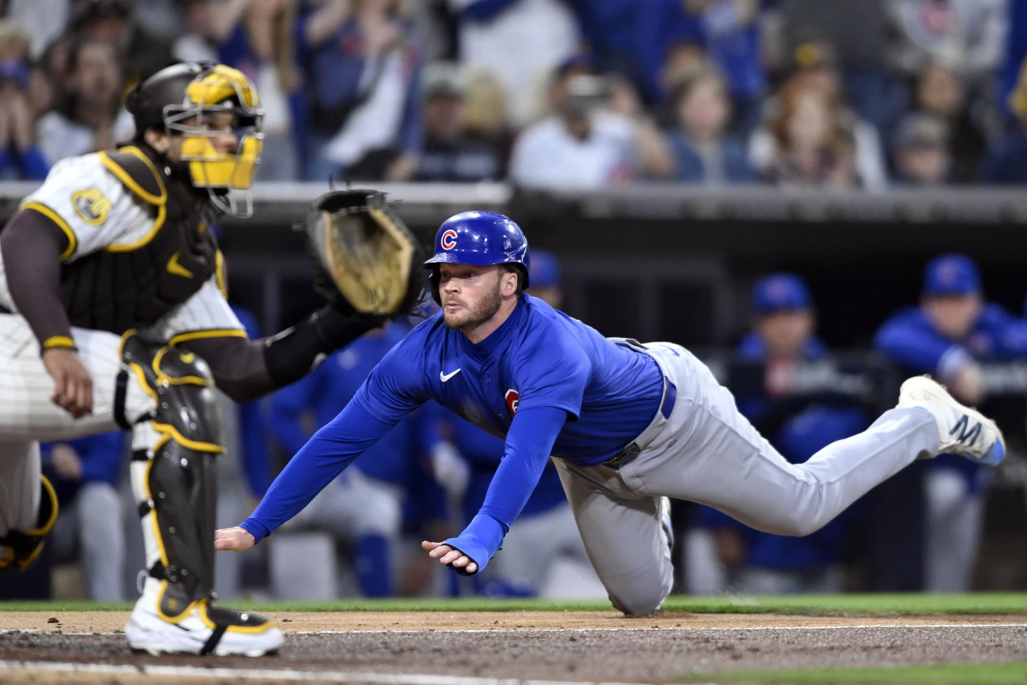 Predicting The Padres Vs. Cubs Game: Can The Cubs Secure A Win? Predicting The Padres Vs. Cubs Game: Can The Cubs Secure A Win?