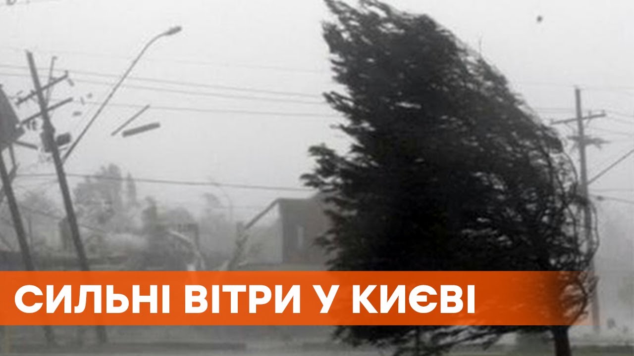 Предупреждение МАДА: Аномальная Жара, Похолодание И Сильный Шторм В Израиле Предупреждение МАДА: Аномальная Жара, Похолодание И Сильный Шторм В Израиле