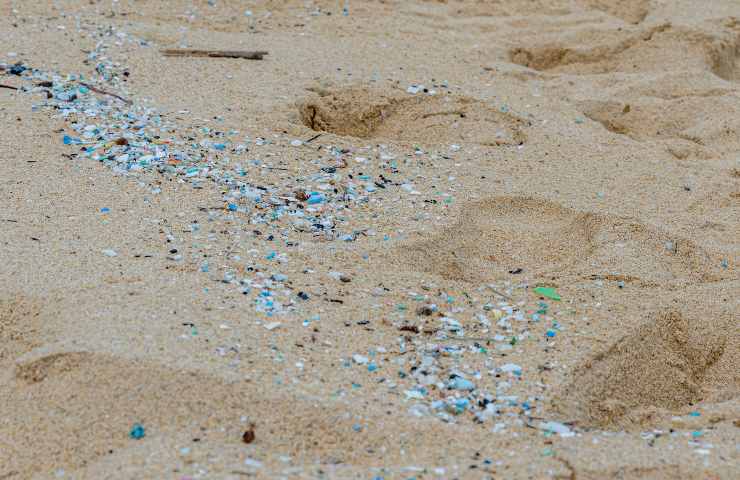 Presenza Di Microplastiche Nell'acqua: Una Mappa Del Rischio Presenza Di Microplastiche Nell'acqua: Una Mappa Del Rischio