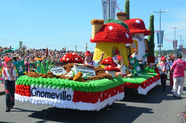Preserving Jersey Battle Of Flowers: The Efforts Of A Dedicated Individual Preserving Jersey Battle Of Flowers: The Efforts Of A Dedicated Individual