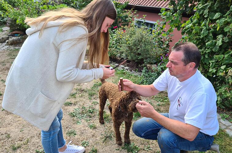 Pretzfeld: Kirschblüte In Der Fränkischen Schweiz – Bald Beginnt Die Blütenpracht Pretzfeld: Kirschblüte In Der Fränkischen Schweiz – Bald Beginnt Die Blütenpracht