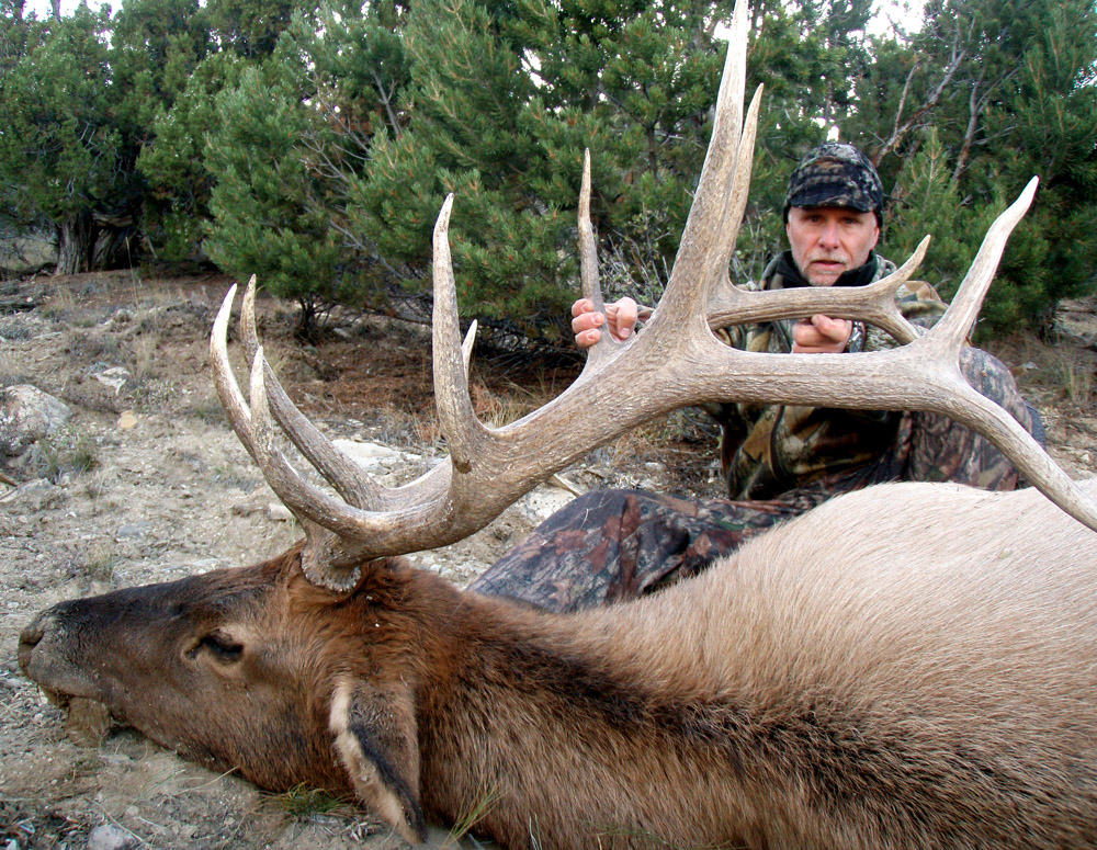 Public Comment Leads To Significant Reductions In Jackson Elk Hunt Public Comment Leads To Significant Reductions In Jackson Elk Hunt