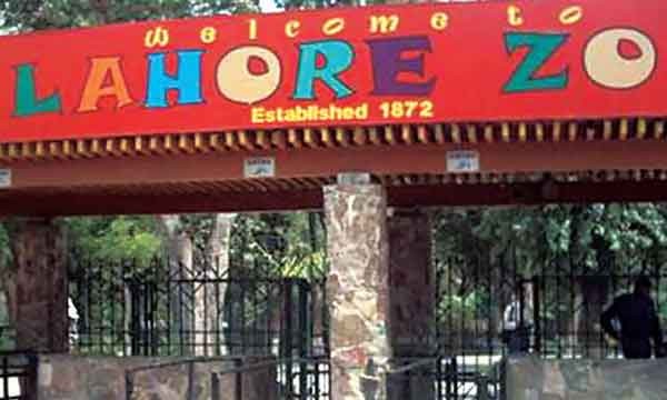 Public Outcry Over Lahore Zoo Ticket Prices: Aurangzeb's Response Public Outcry Over Lahore Zoo Ticket Prices: Aurangzeb's Response