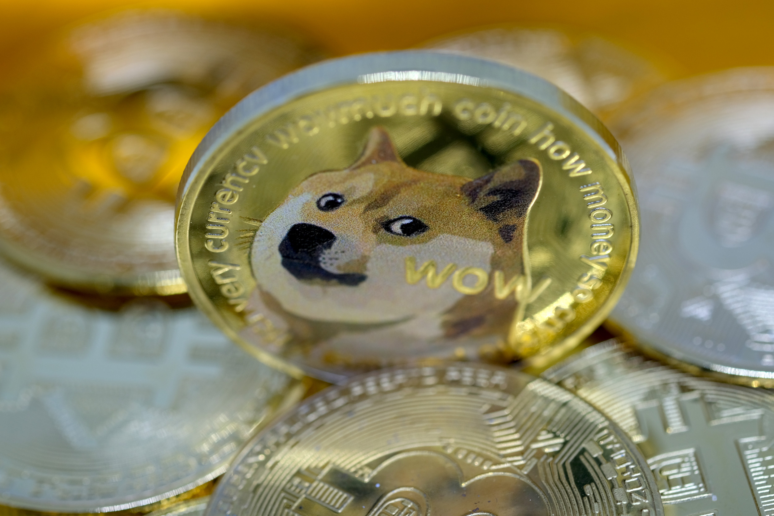 Recent Gork Meme Coin Price Spike: A Look At Elon Musk's Twitter Influence Recent Gork Meme Coin Price Spike: A Look At Elon Musk's Twitter Influence