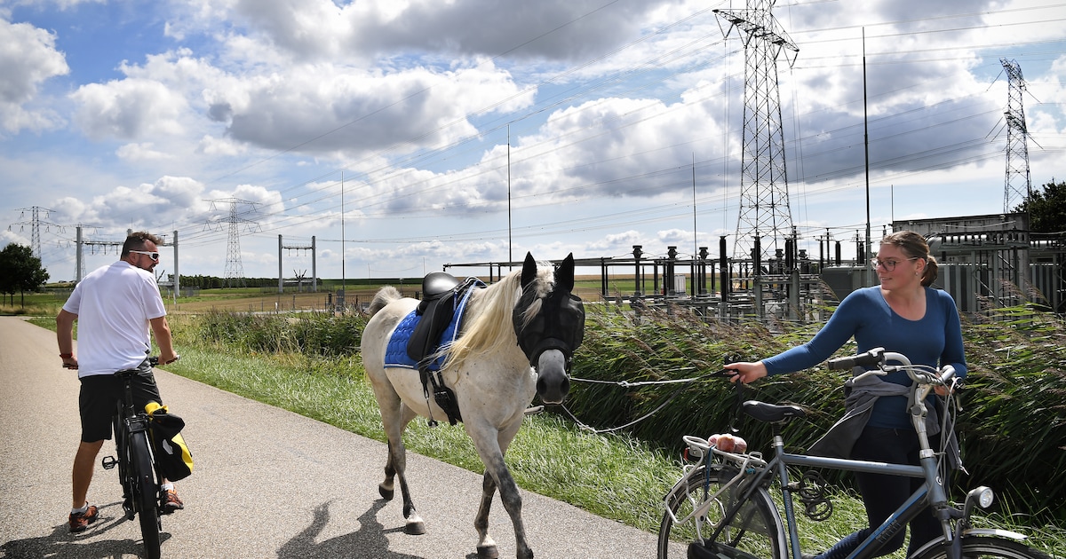 Rechtszaak: Kampen Eist Snelle Aansluiting Op Stroomnet Van Enexis Rechtszaak: Kampen Eist Snelle Aansluiting Op Stroomnet Van Enexis