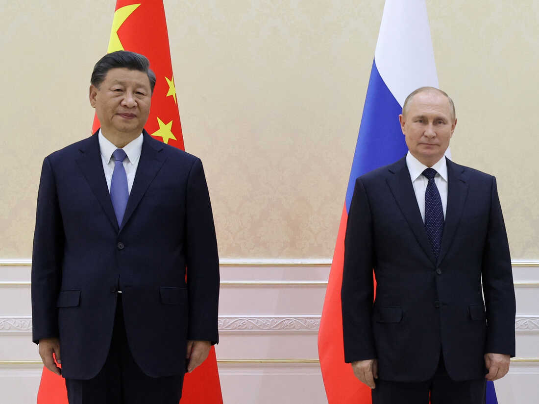 Regalo Presidencial: Tres Toros Uruguayos Parten Hacia China Para Xi Jinping Regalo Presidencial: Tres Toros Uruguayos Parten Hacia China Para Xi Jinping