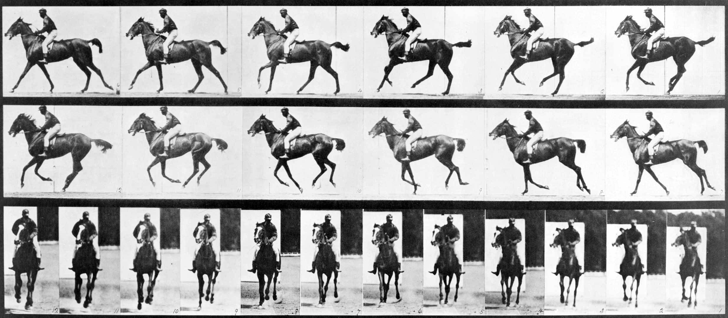 Remembering Lin Tsan-ting: Golden Horse Awards Winning Cinematographer (1929-2023) Remembering Lin Tsan-ting: Golden Horse Awards Winning Cinematographer (1929-2023)