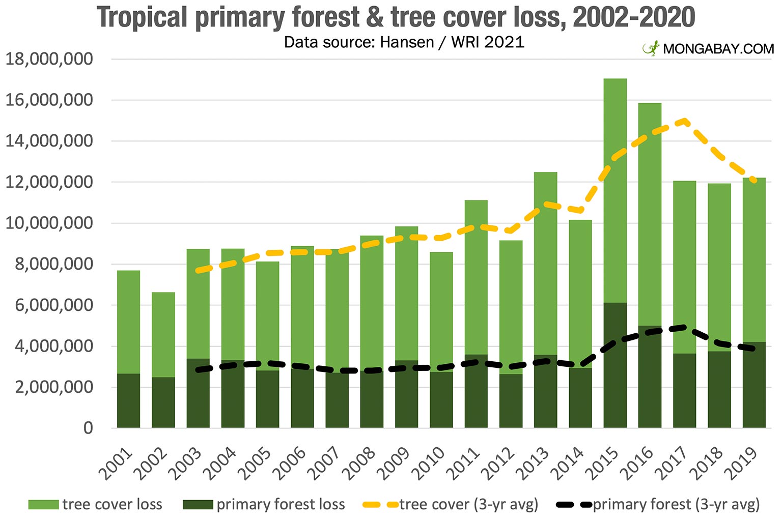 Rising Global Forest Loss: Wildfires And The Fight For Conservation Rising Global Forest Loss: Wildfires And The Fight For Conservation