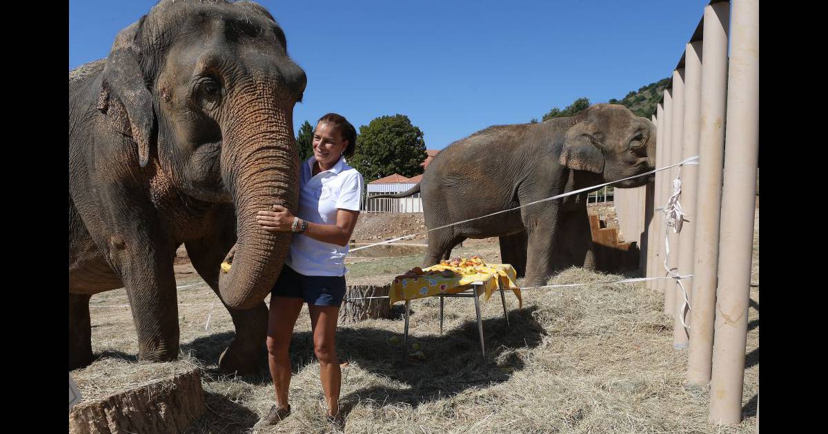 Roc Agel: El Retiro De Charlène En La Propiedad Grimaldi Roc Agel: El Retiro De Charlène En La Propiedad Grimaldi