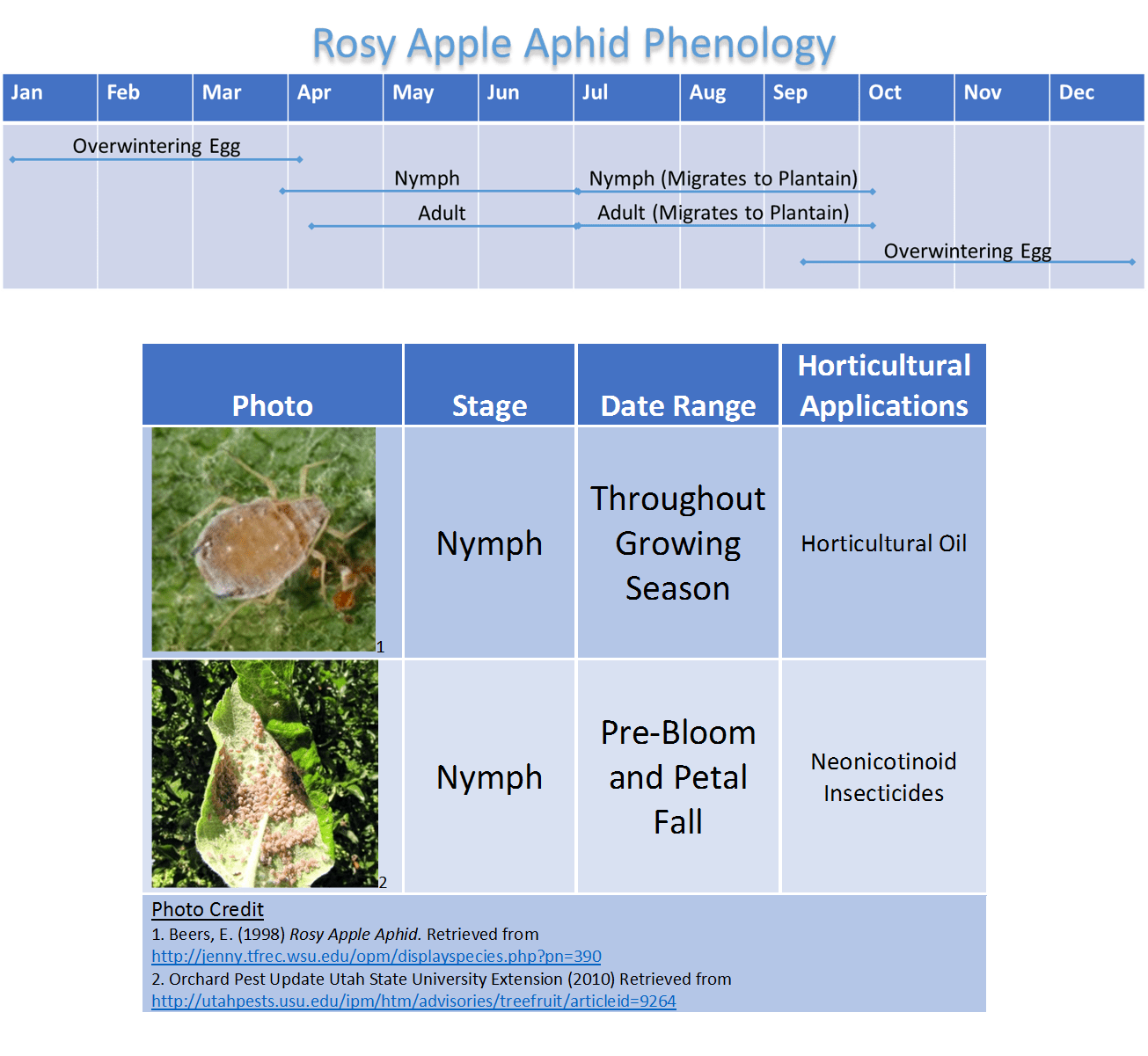 Rosy Apple Aphid Threatens Apple Harvest: 10-30% Reduction Predicted Rosy Apple Aphid Threatens Apple Harvest: 10-30% Reduction Predicted