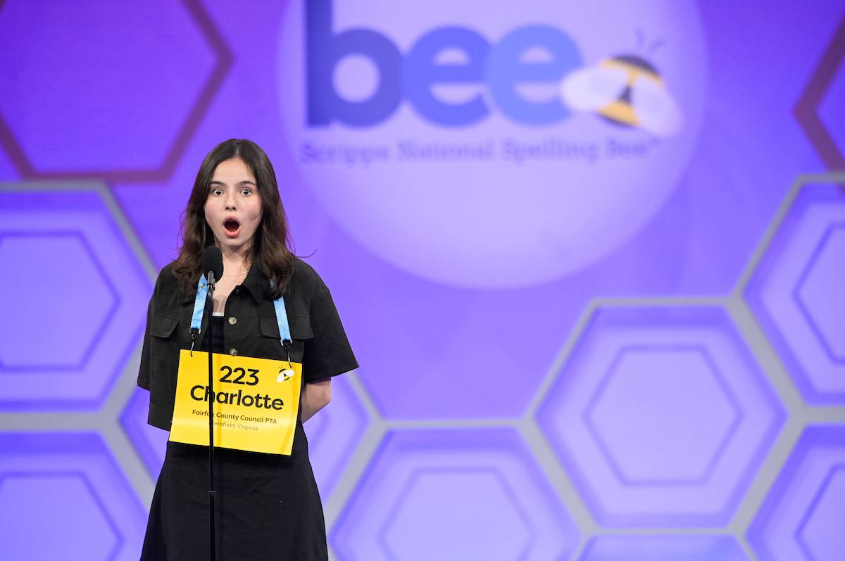 Scripps National Spelling Bee 2024: Faizan Zaki's Winning Moment Scripps National Spelling Bee 2024: Faizan Zaki's Winning Moment