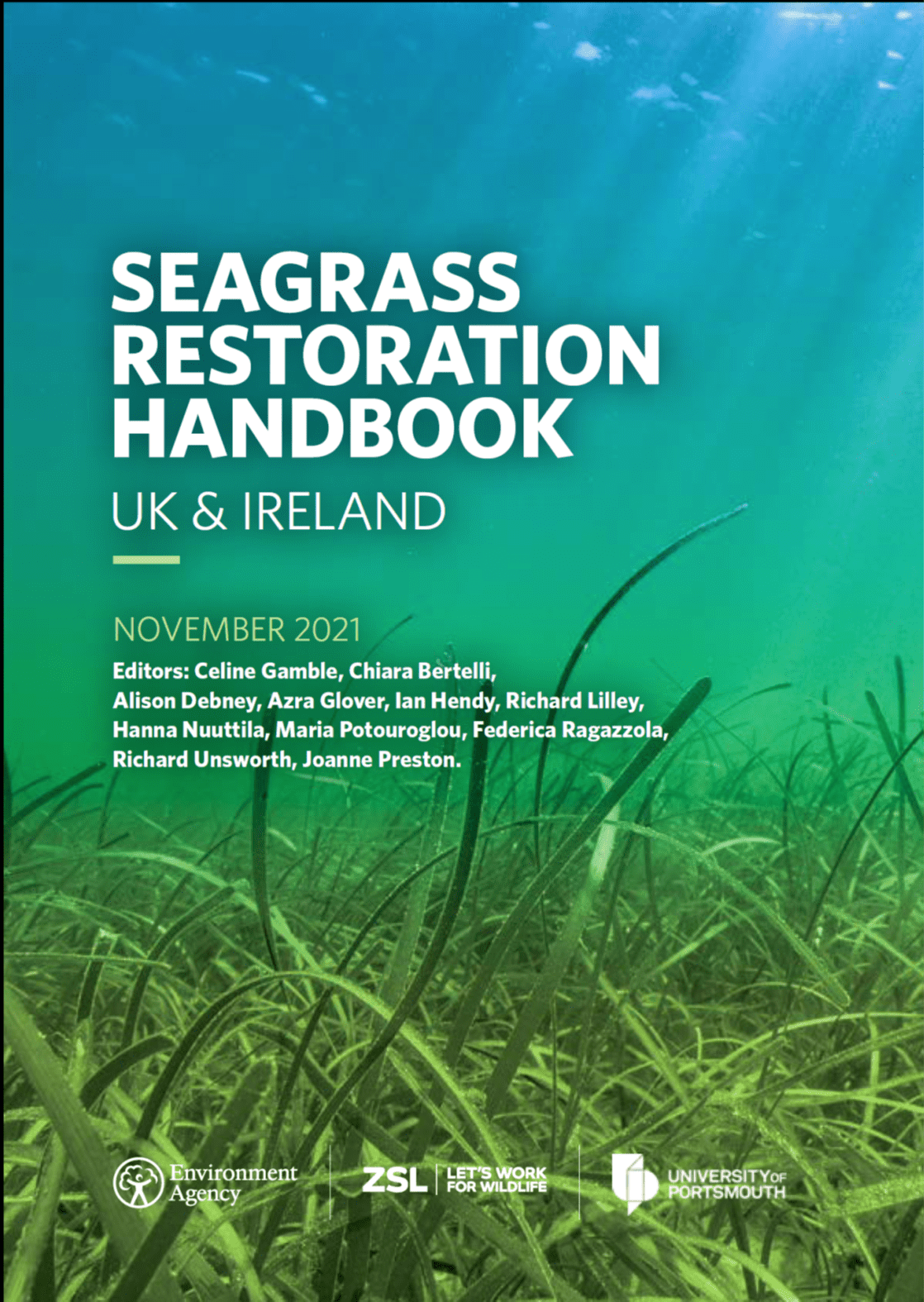 Seagrass Restoration: A Bid To Revitalize Scotland's Coastal Ecosystems