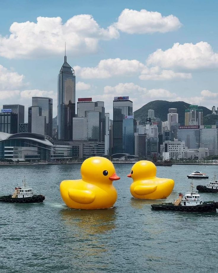 See The World's Largest Rubber Duck And Learn About Water Safety In Myrtle Beach See The World's Largest Rubber Duck And Learn About Water Safety In Myrtle Beach
