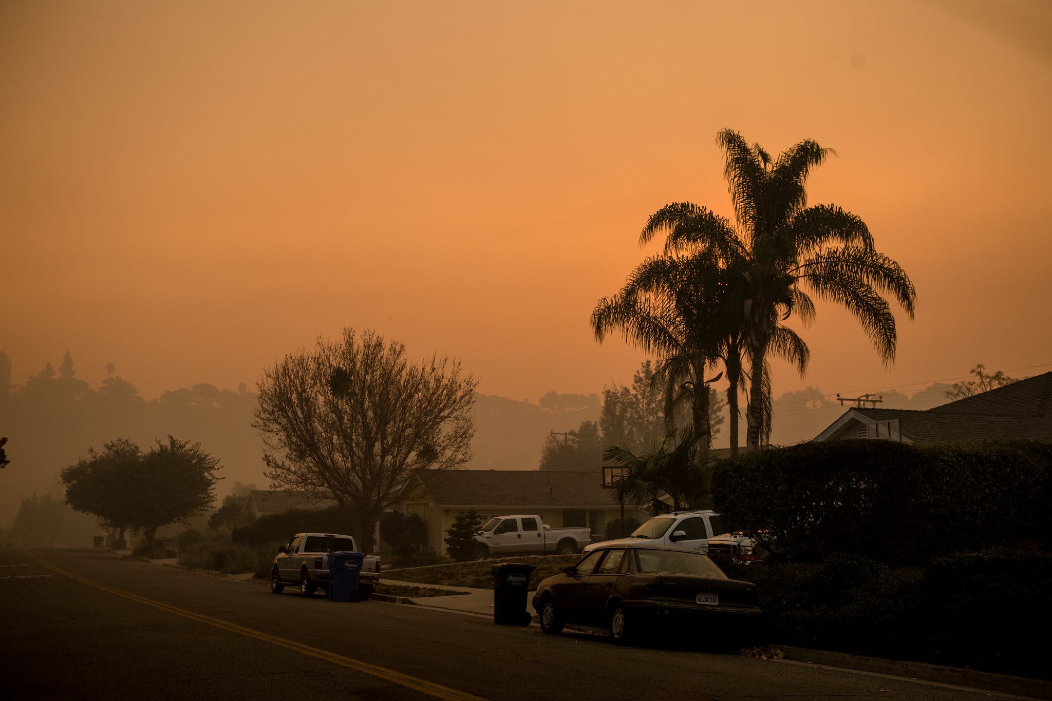 'Selling Sunset' Star Highlights Landlord Price Gouging Following LA Fires 'Selling Sunset' Star Highlights Landlord Price Gouging Following LA Fires