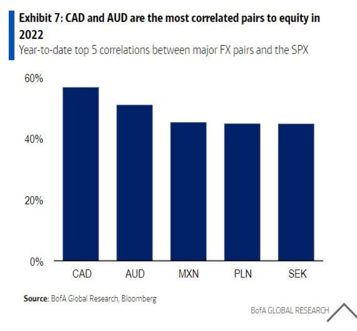 Should Investors Worry About Elevated Stock Market Valuations? BofA's View Should Investors Worry About Elevated Stock Market Valuations? BofA's View
