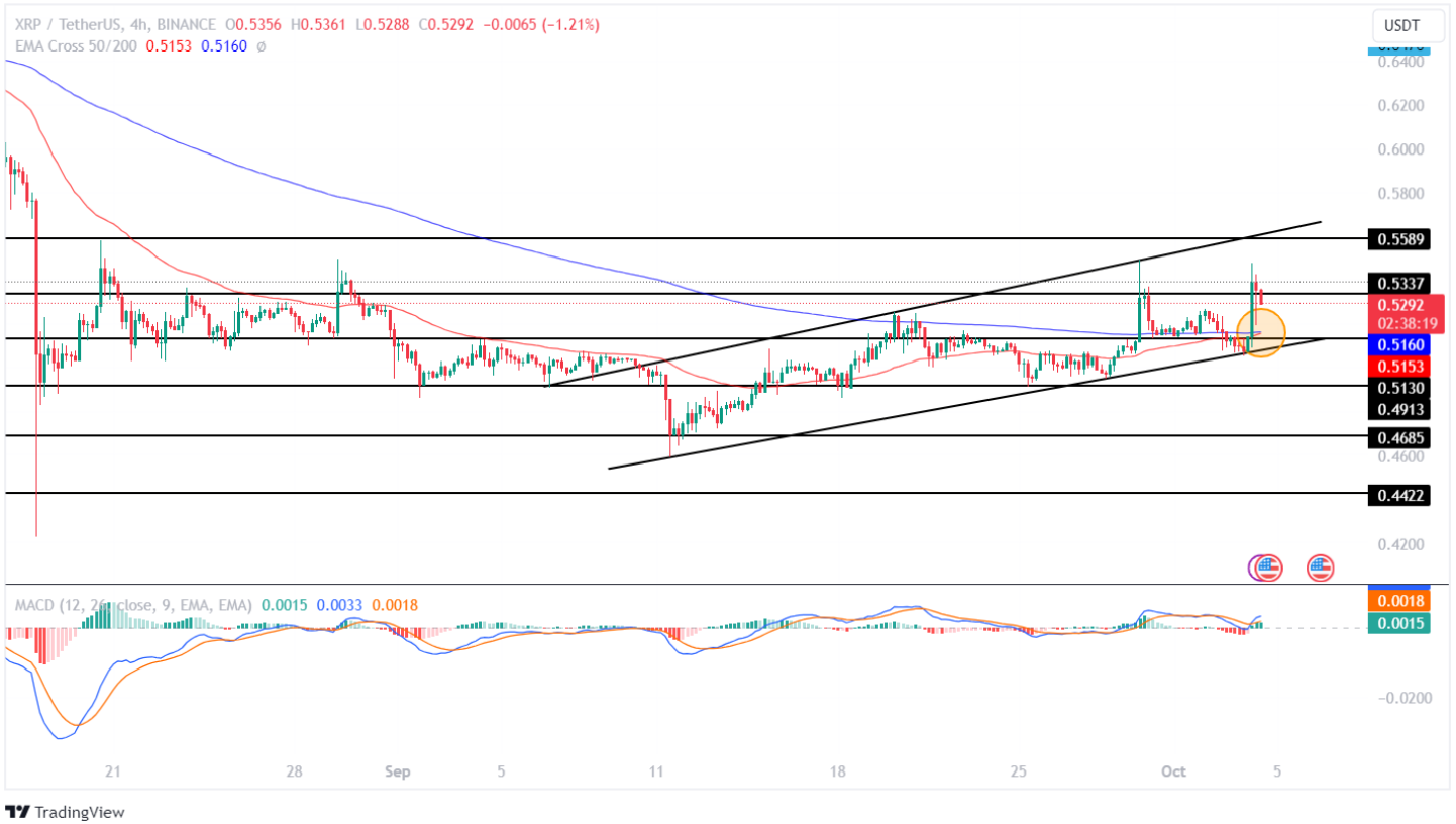 Should You Buy XRP (Ripple) Now? Price Under $3 Analysis