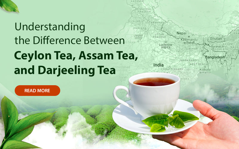 Slow Traffic In Darjeeling: Understanding The Issues Slow Traffic In Darjeeling: Understanding The Issues
