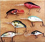 Smith Mountain Lake Bass Fishing Tournament: B&W Heavy Hitters All-Star Event Next Week Smith Mountain Lake Bass Fishing Tournament: B&W Heavy Hitters All-Star Event Next Week