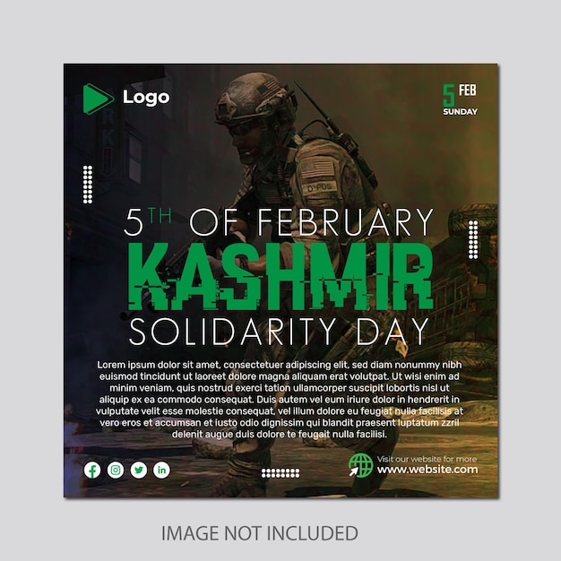 Social Media Frenzy: Kashmir Cat Owners React To Viral Videos