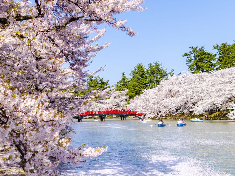 Springwatch Japan: Timing, Locations & Best Viewing Spots For Cherry Blossoms Springwatch Japan: Timing, Locations & Best Viewing Spots For Cherry Blossoms