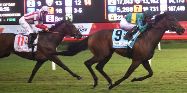 Stone To Announce Virginia Derby Meet At Colonial Downs: Official Announcement Stone To Announce Virginia Derby Meet At Colonial Downs: Official Announcement