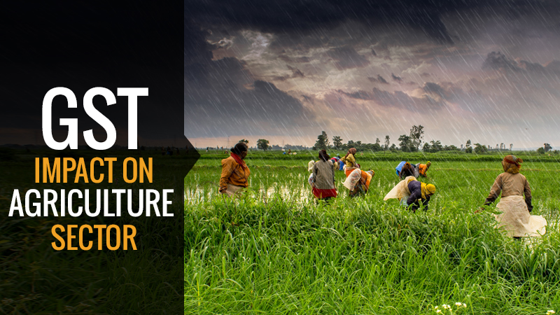 Strong Monsoon: Boosting India's Agricultural Sector And Consumption Strong Monsoon: Boosting India's Agricultural Sector And Consumption